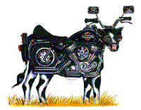 "Harley Cow"